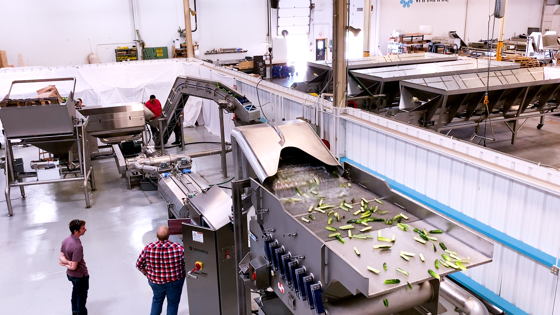 Automated cucumber processing