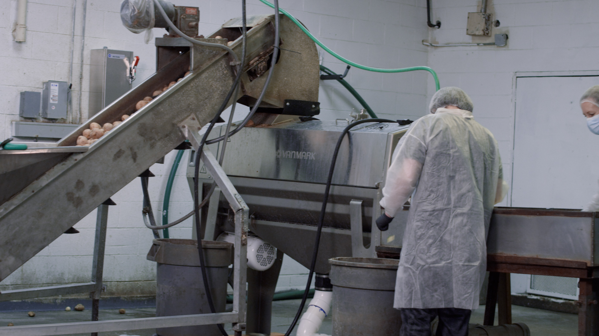 Downey's Chips using a Vanmark peeler in their plant Downey's Chips using a Vanmark peeler in their plant