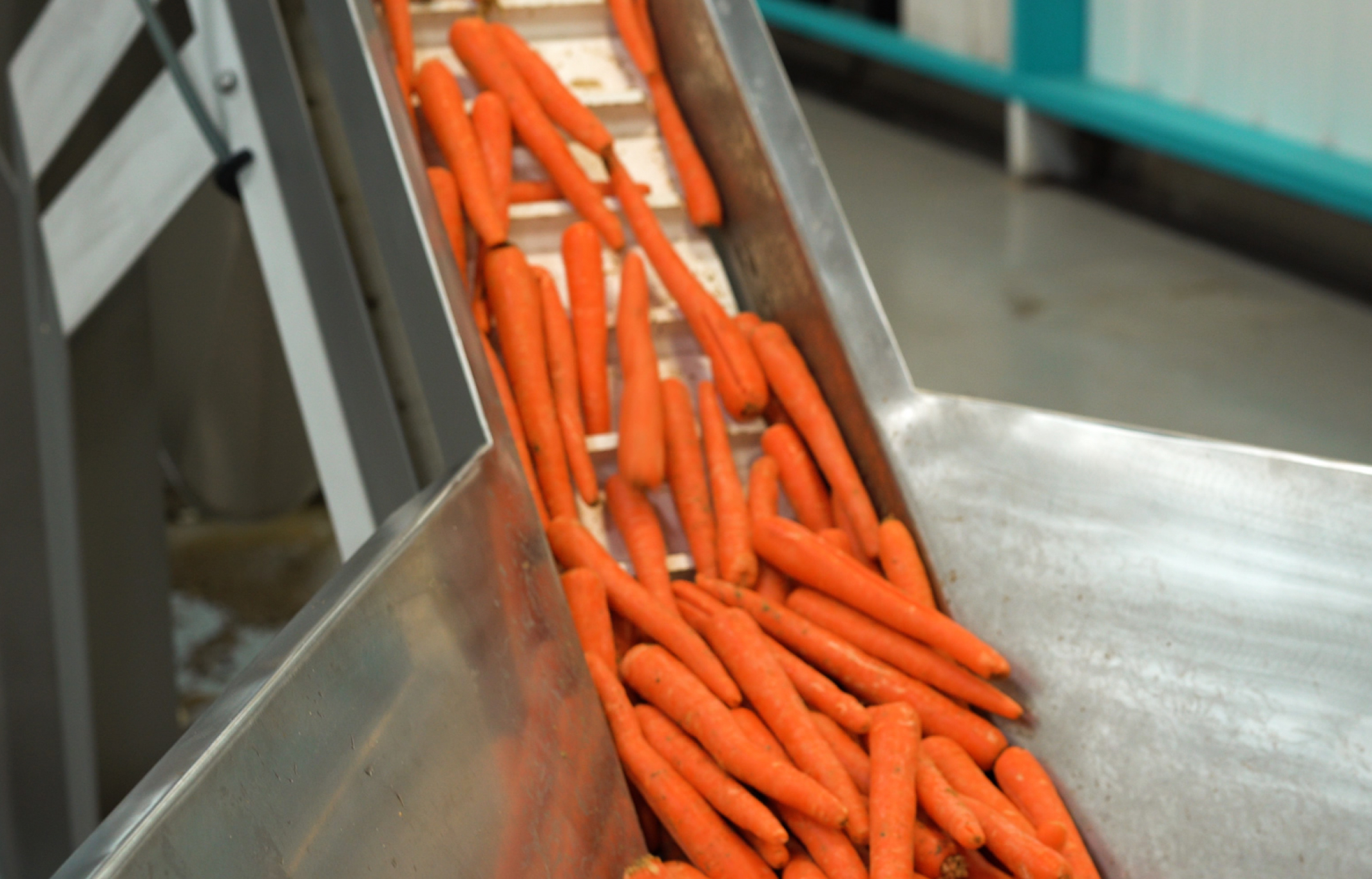 Produce and Potato Processing Line Equipment - Vanmark