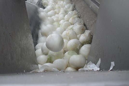 Water usage is just one utility to consider when investing in new produce processing equipment, like this machine for washing and peeling onions.