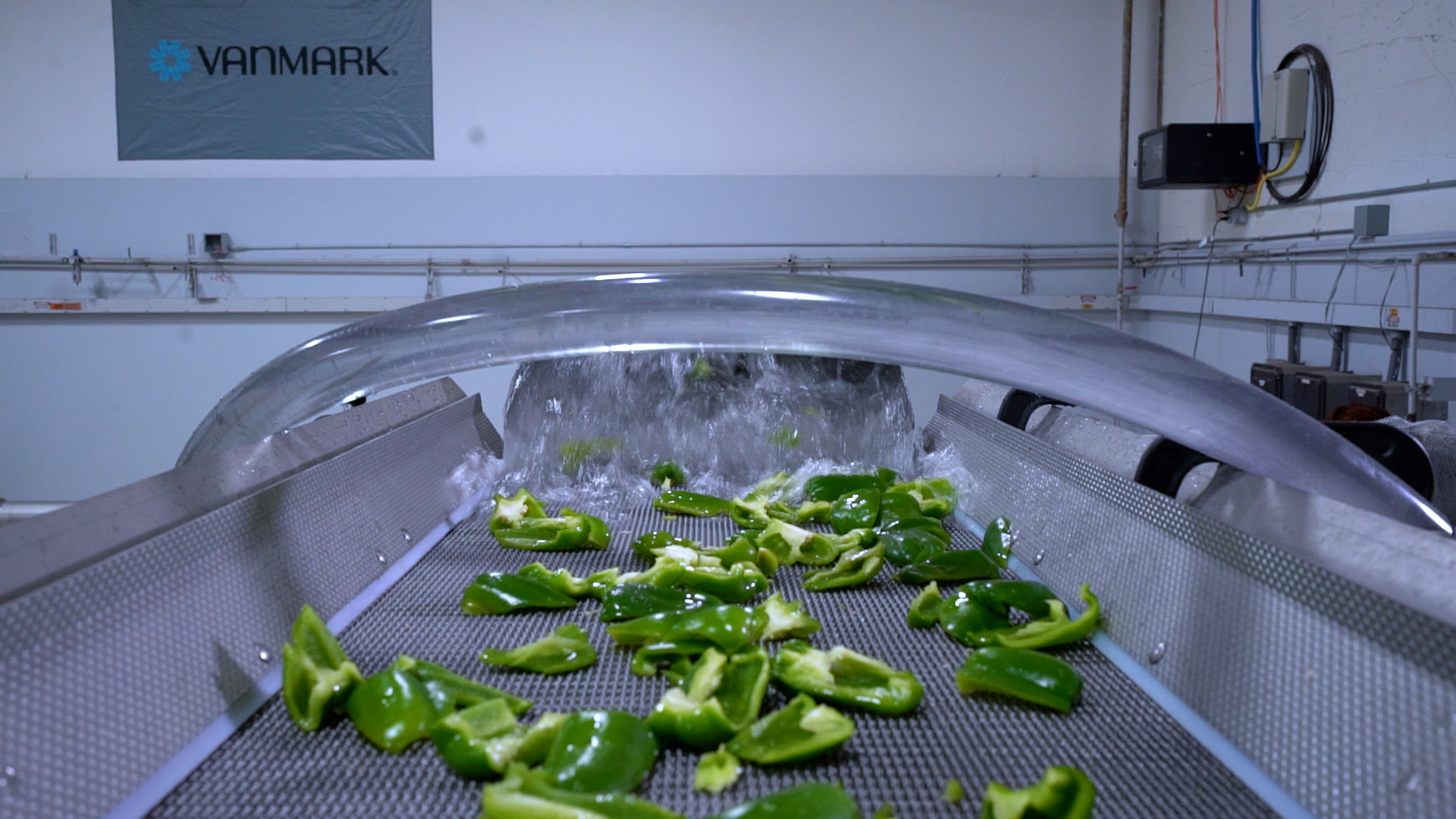 Vanmark Pickle Washing & Cutting Processing Line