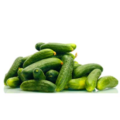 A large pile of cucumbers. 