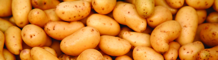 A batch of fresh potatoes. 